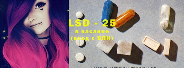 индика Абаза