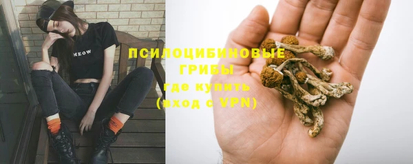 амфетамин Алексеевка