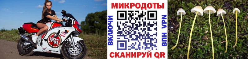 наркошоп  kraken зеркало  Псилоцибиновые грибы Cubensis  shop наркотические препараты  Сураж 